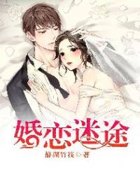 婚恋迷途的小说