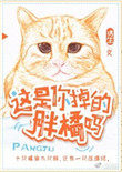 这是你掉的胖橘吗百度云