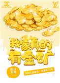 我家真的有金矿TXT免费下载
