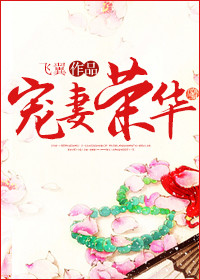 宠妻荣华全文完整免费阅读