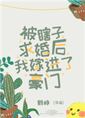 被瞎子求婚后我嫁进豪门 百度网盘