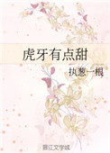 方向盘上有ford是什么车