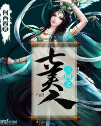 三国之美人天下的小说