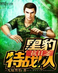 黑豹特战队乐高