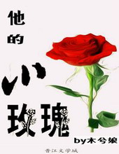 他的小玫瑰 书包网