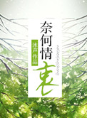 奈何情长是什么意思啊