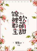 小说 锦鲤