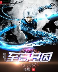 至高基因 小说