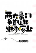 俩大豪门争着让我继承家业