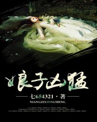 娘子很抢手免费阅读