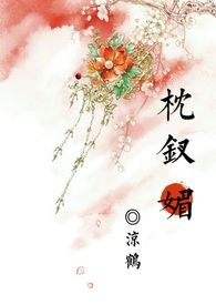 枕钗摇全本