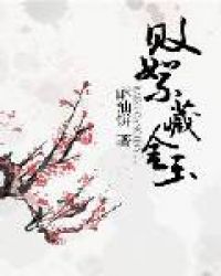 败絮藏金玉有车吗