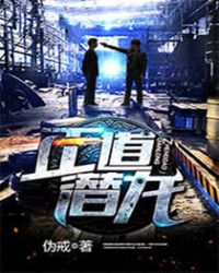 正道潜龙TXT下载