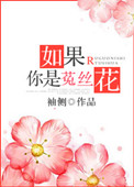 小说如果你是菟丝花免费阅读