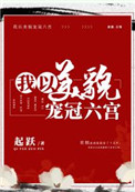 我以美貌宠冠六宫无重复
