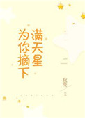 为你摘下满天星是什么歌