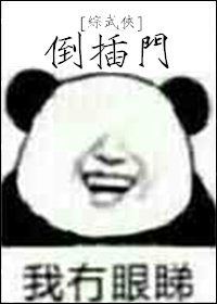 倒插门综武侠 小说