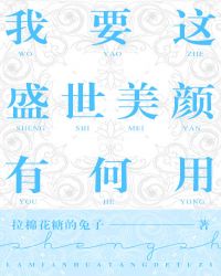 我要这盛世美颜有何用小说