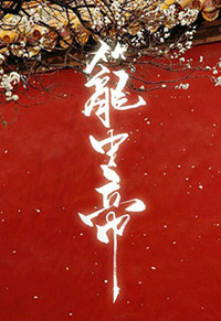 锁帝翎(笼中帝)类似的小说