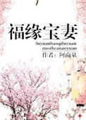 福缘宝妻完整全文