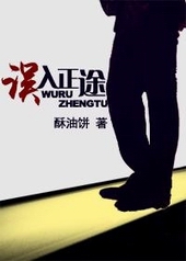 误入正途攻是谁