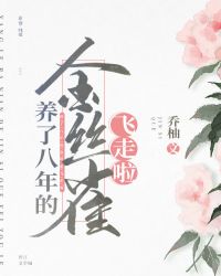 养了八年的金丝雀飞走了好看吗