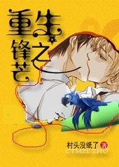 重生之争锋
