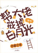 成为大佬的白月光小说