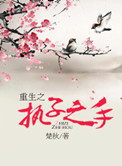 重生之执念免费阅读
