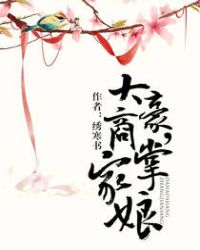 大豪商掌家娘好看吗
