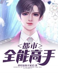 都市全能高手第二部