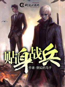 贴身战王女主角
