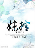 穿越之妹控相似的小说
