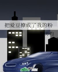把爱豆养歪了怎么办小说