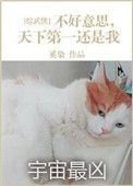 不好意思天下第一还是我 小说