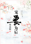 小说宠妻为后