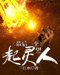 最后一个起灵人TXT下载
