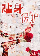 贴身保护完整版
