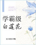 学霸级白莲花txt百度云