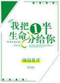我把一半的生命分给你小说