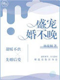 小说盛宠婚不晚全本免费阅读
