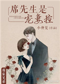 席先生是宠妻控晋江
