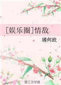 情敌娱乐圈txt