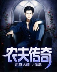 农夫传奇TXT下载