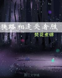 狭路相逢 小说