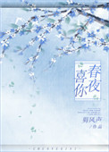 小说春夜喜你