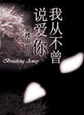 我从不曾说爱你书本资料