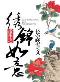 重生之锦绣 小说